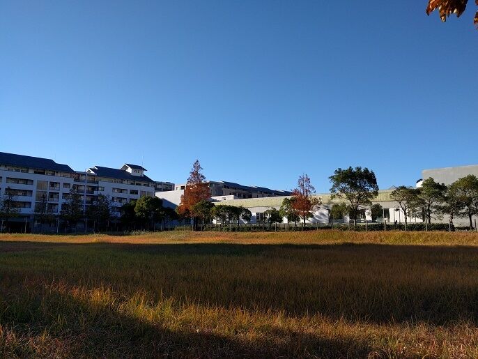 ④打瀬小学校の近くなので住環境も良好